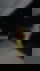 603218283