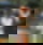 662619700