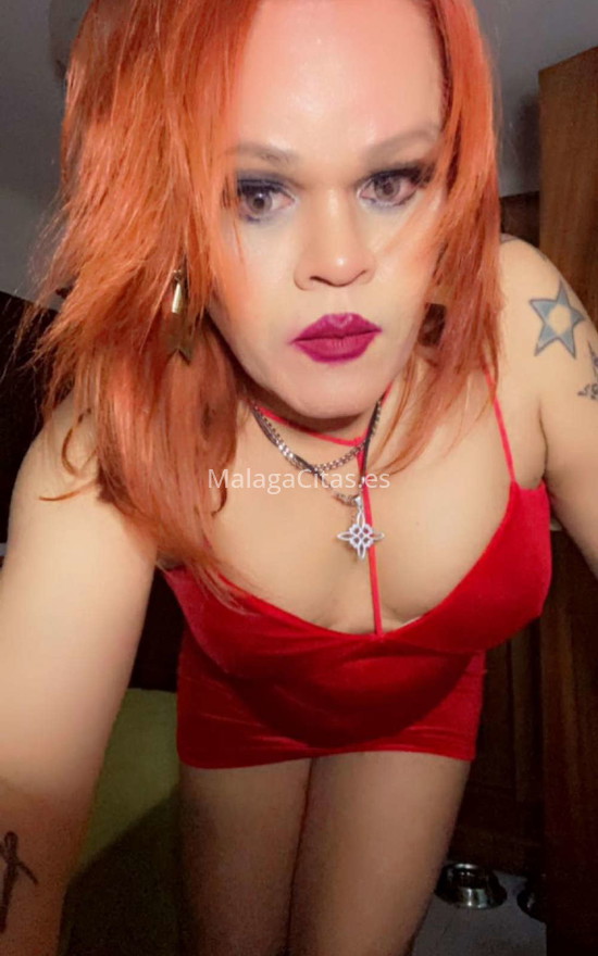 París Santana, trans brasileña . 603261241. Citas en MÁLAGA, MÁLAGA. www.malagacitas.es.