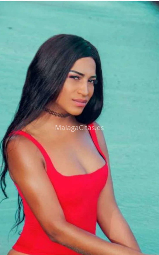 Tifany, trans latina. 623523999. Citas en MÁLAGA, MÁLAGA. www.malagacitas.es.