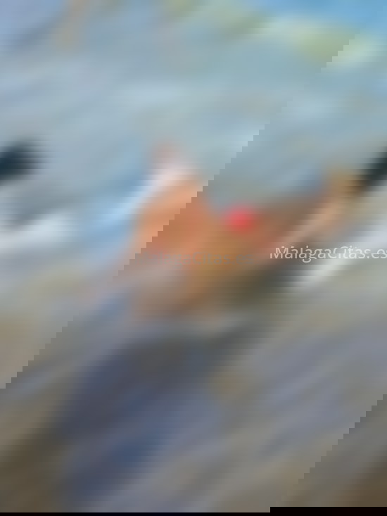 Tere, trans recién llegada a la ciudad. 698458075. Citas en MÁLAGA, MÁLAGA. www.malagacitas.es.