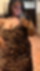 611298490
