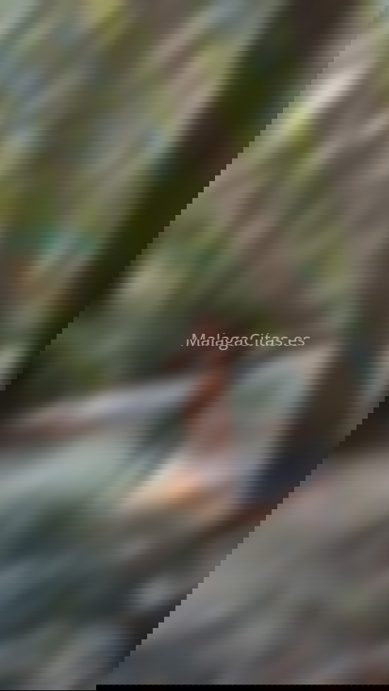 Vanesa, mujer trans divertida. 632018148. Citas en MÁLAGA, MÁLAGA. www.malagacitas.es.