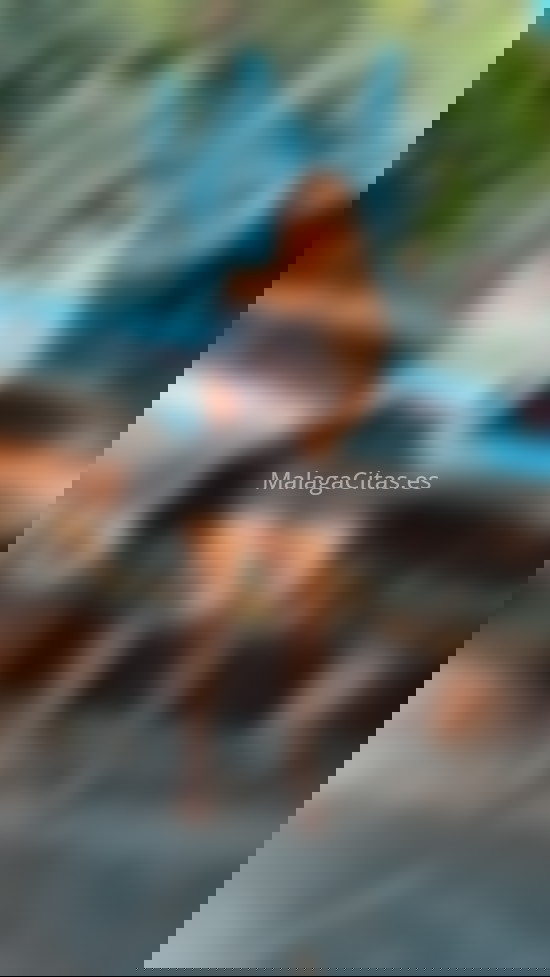 Celeste. 643912513. Citas en MÁLAGA, MÁLAGA. www.malagacitas.es. Celeste. 643912513. Citas en MÁLAGA, MÁLAGA. www.malagacitas.es.