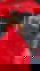 613965861