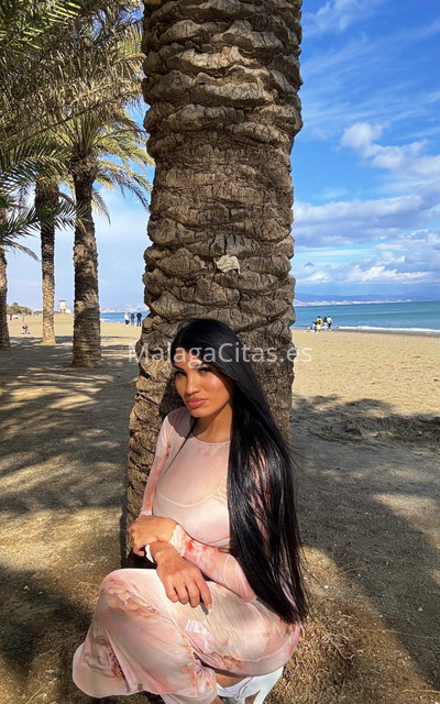 Pandora, trans argentina. 602649175. Citas en MÁLAGA, MÁLAGA. www.malagacitas.es.