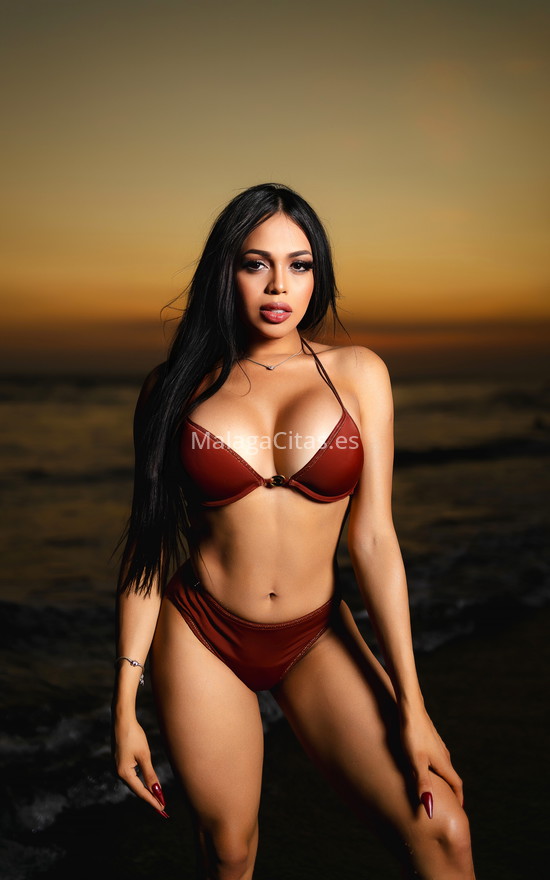 Paula, chica trans extrovertida . 641268998. Citas en MÁLAGA, MÁLAGA. www.malagacitas.es.
