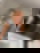 657995880