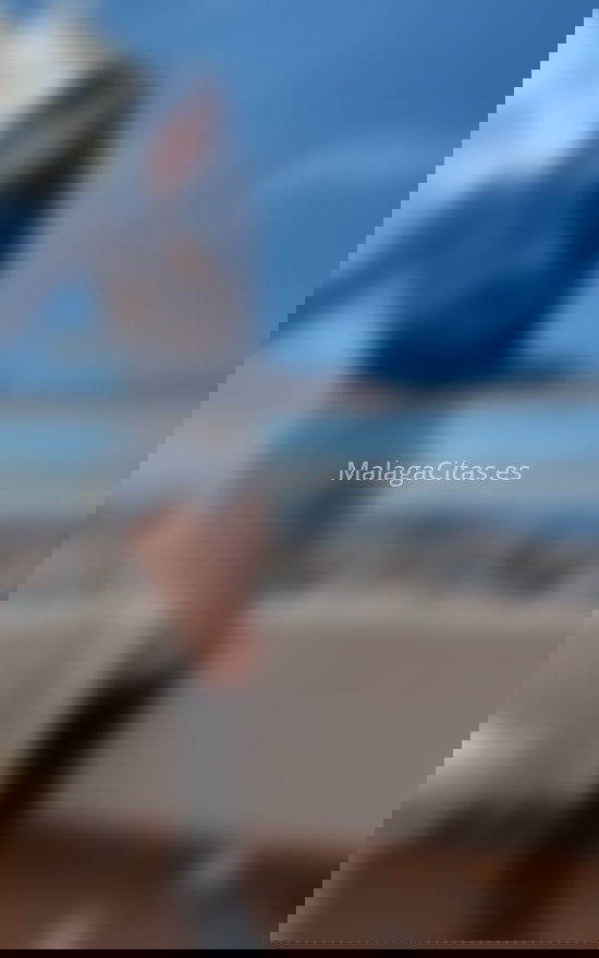 Sofi, guapísima venezolana. 660931971. Citas en MÁLAGA, MÁLAGA. www.malagacitas.es.