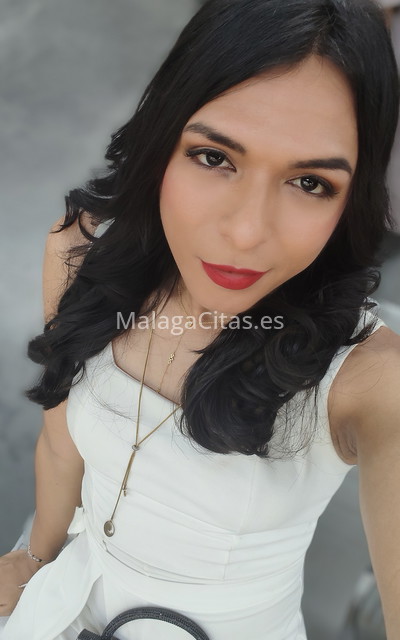 Evelyn, trans dulce y cariñosa. 634737822. Citas en MÁLAGA, MÁLAGA. www.malagacitas.es.