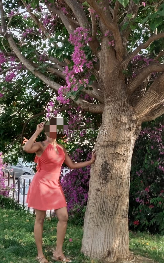 Andrea, mujer madura latina. 645892511. Citas en MÁLAGA, MÁLAGA. www.malagacitas.es.