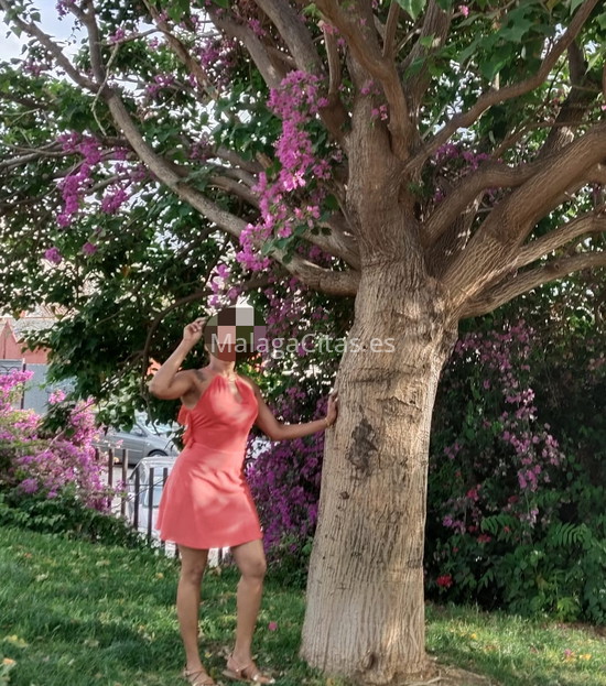 Andrea, mujer madura latina. 645892511. Citas en MÁLAGA, MÁLAGA. www.malagacitas.es.